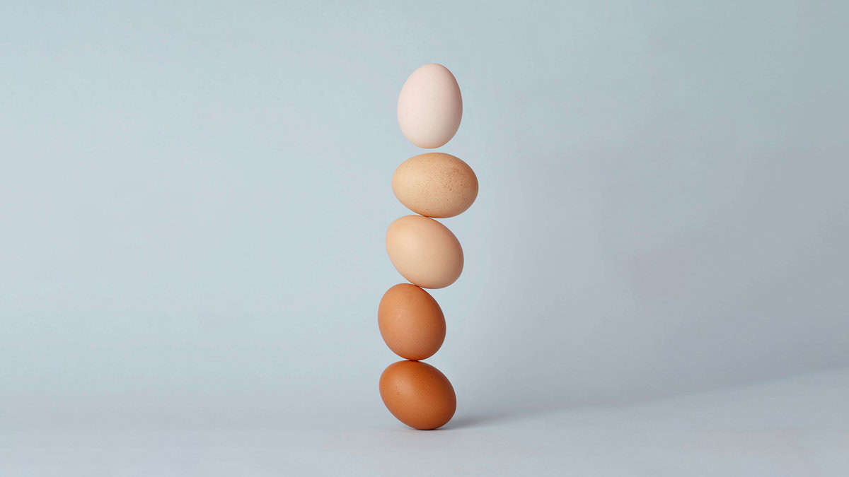 Chicken or Egg Strategy - BrandHusl