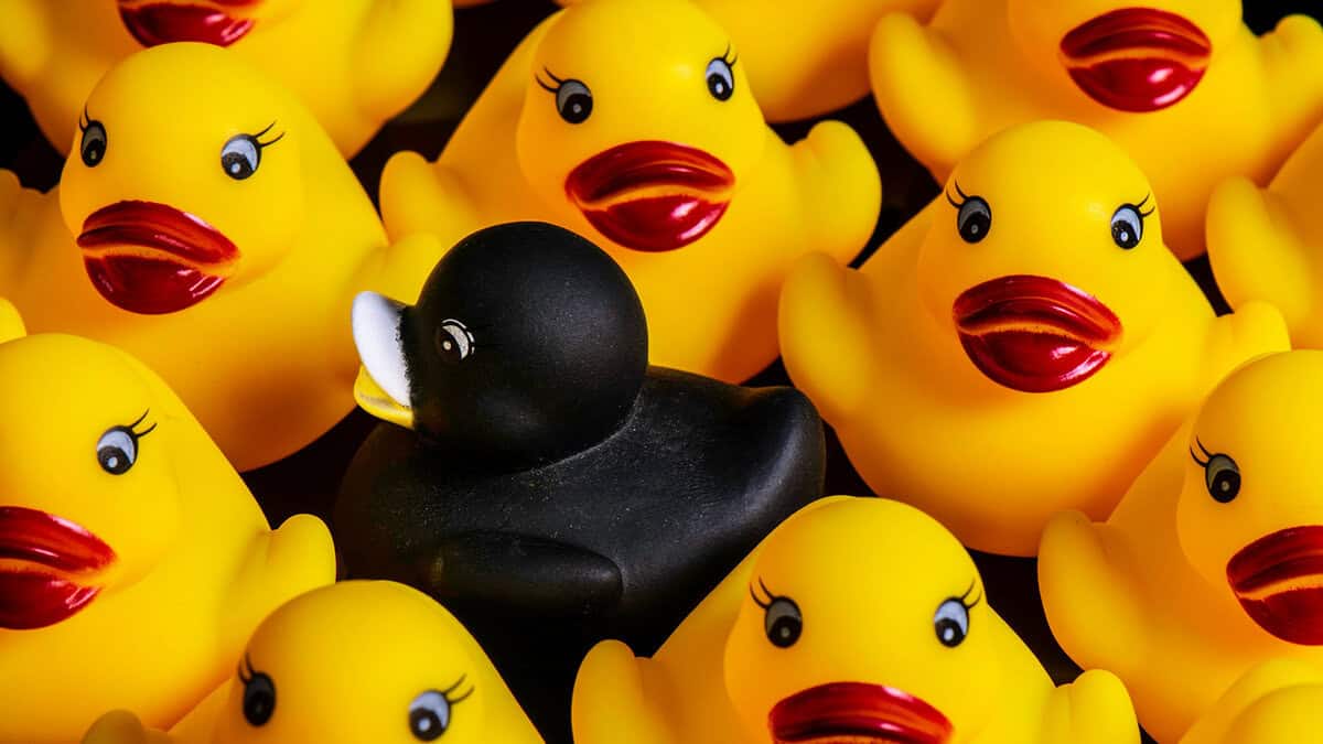Ensuring You Choose the Right Firm - BrandHusl